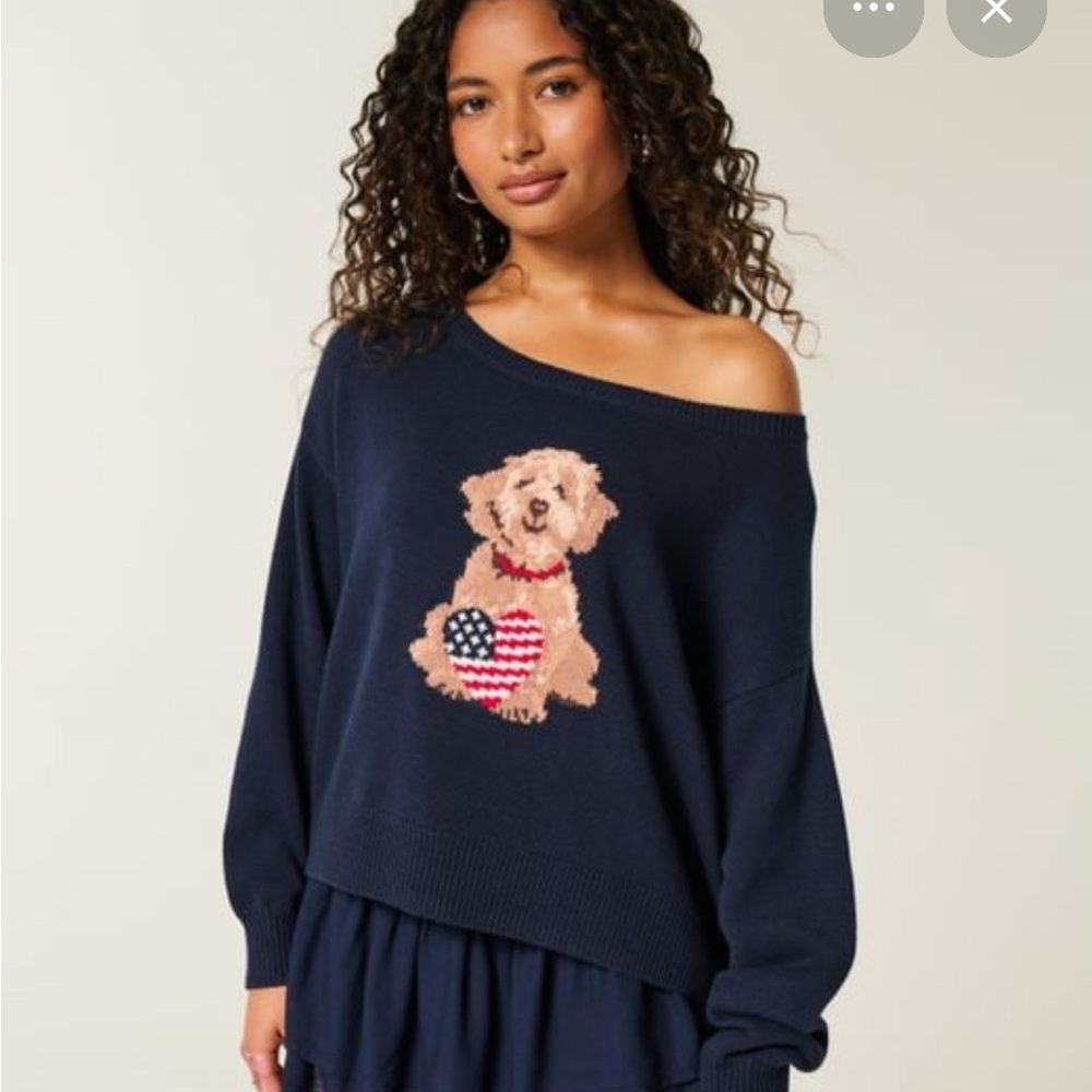 Hollister Navy Sweater